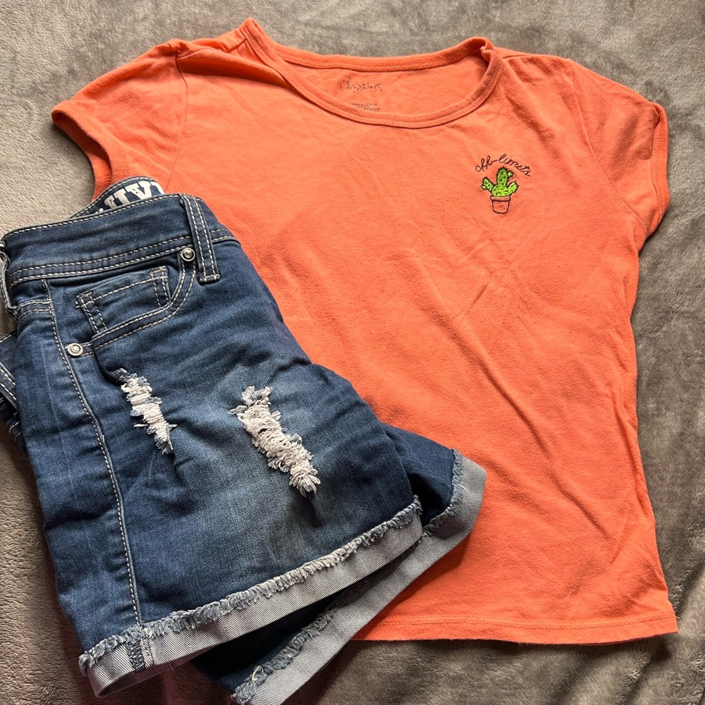 Orange Crop Top